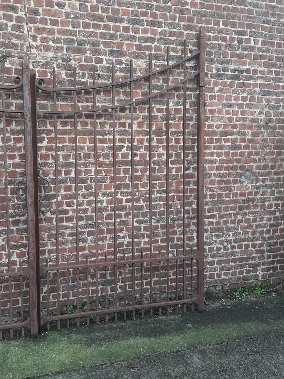 Nieuwe smeedijzeren poort + palen - B x H 350 x 300 cm